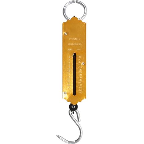 Balanza de bolsillo con muelle hasta 25 kg
