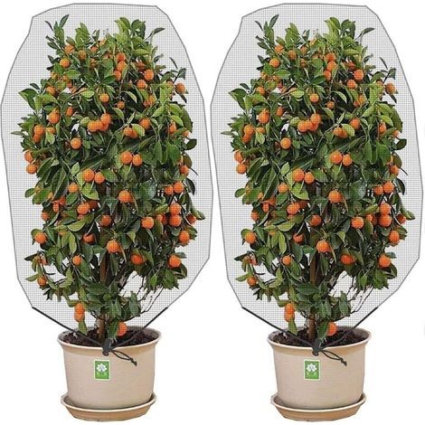 BUNTHAUS PA Lot de deux filets anti-insectes et anti-oiseaux avec cordon de serrage - 150 x 100 cm - Protège les plantes de jardin, les fruits, les agrumes et les fleurs des insectes et des oiseaux. (1/4)