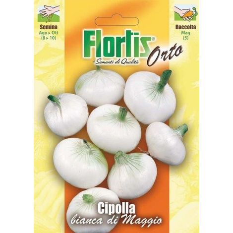 CIPOLLA BIANCA DI MAGGIO