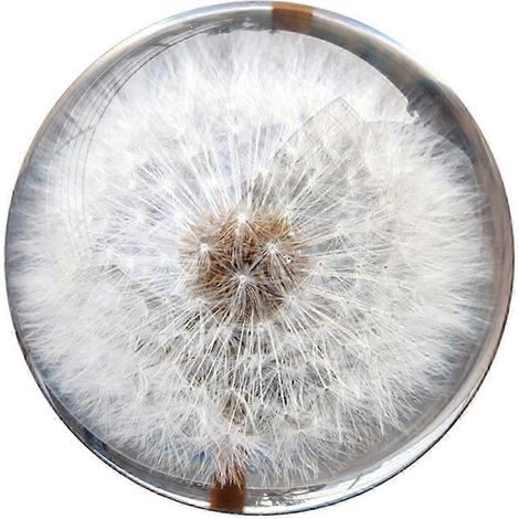 Presse-papier en résine en forme de pissenlit (25-26 cm), boule de cristal décorative, cristal optique K9, gravure laser intérieure 3D, ornement de bureau polyvalent pour la maison et le bureau. (1/4)