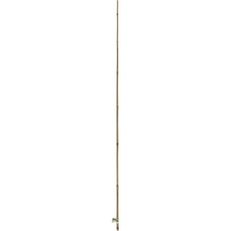 Tutor de bambú de 120 cm, grosor 10/12 mm, lote de 3 piezas - Nortene