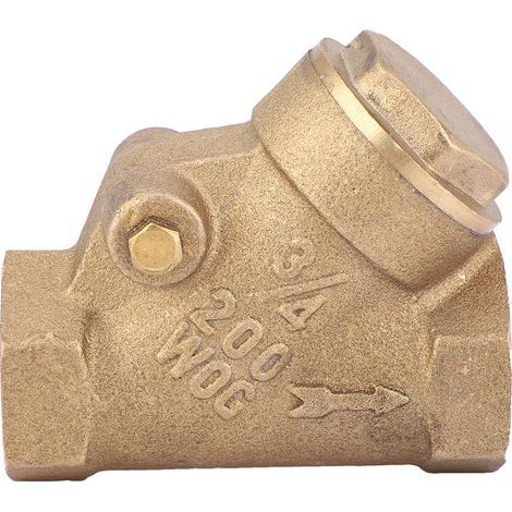 Clapet anti-retour laiton type Y 3/4 pouce NPT pour eau et gaz, pression 1.6 MPa (1/5)
