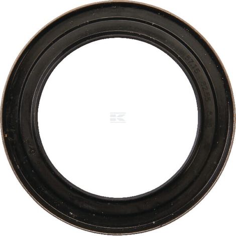 Dichtungsring CASE IH 245856