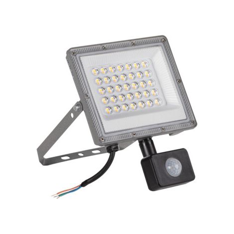 LED-Flutlicht, 30 W, Farbtemperatur SE GR, mit Bewegungsmelder, Schutzart IP44, variable Farbtemperatur, Modell 38497, Kanlux (1/5)