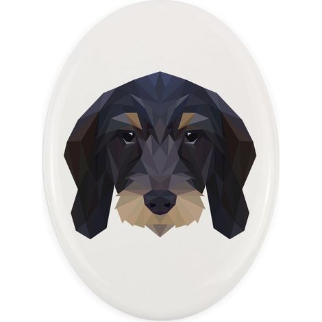 Drahthaariger Teckel – ein geometrischer Teller mit Foto und Inschrift von Art-Dog (1/4)
