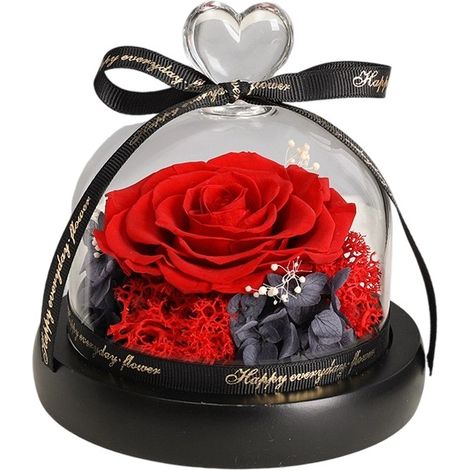 Rose Éternelle - Rose éternelle préservée dans un vase en verre. Roses éternelles artisanales avec lumières LED. Cadeau idéal pour la Saint-Valentin, la fête des Mères, un anniversaire, Thanksgiving o (1/5)