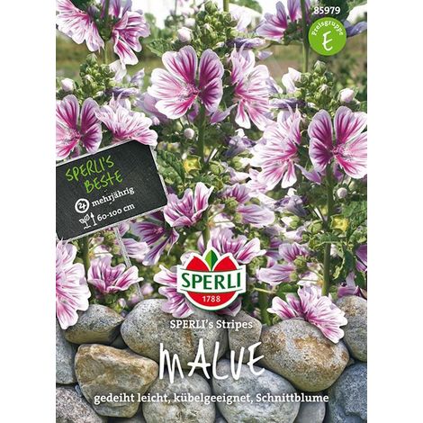 Sperli Wilde Malven SPERLI's Stripes - Blumensamen (1/4)