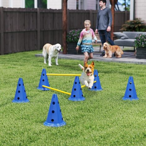 Ensemble Agilité pour chiens, équipement d'agilité 3 pièces pour entraînement canin, kit d'obstacles avec 6 cônes et 3 haies, sac de transport (1/5)