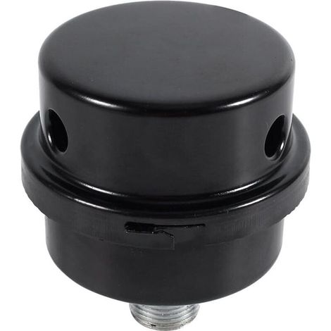 Accessoires de compresseur pneumatique,Filtre Silencieux pour Compresseur d'Air (3/8" Filetage 16mm), (1/4)