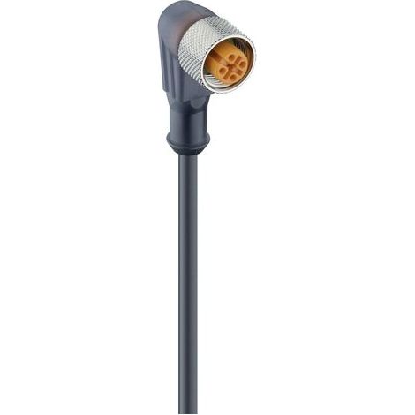 Connecteur confectionné pour capteurs/actionneurs M12 Lumberg Automation RKWT 5-228/2 M 40212-1 femelle, coudé 2.00 m N (1/2)