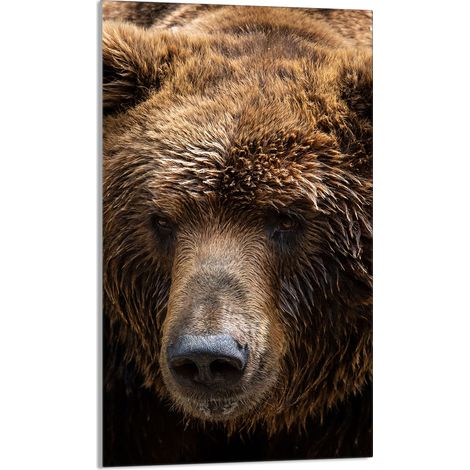 Planche à découper en verre 30 x 52 cm Ours en peluche (1/5)