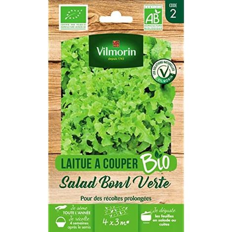 Laitue à Couper Salad Bowl Verte Bio Récolte 4 Saisons (1/2)