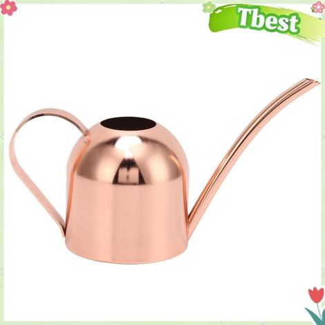 Tbest arrosoir pour plantes d'intérieur Arrosoir, Arrosoir en Acier Inoxydable or Rose, Mini Corps avec Grande piscine outils (1/5)