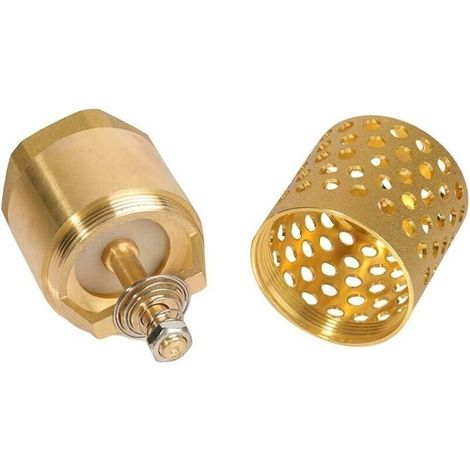 Clapet anti-retour pompe 1 pouce - clapet de pied clapet crepine anti retour (1 pouce) (1/2)