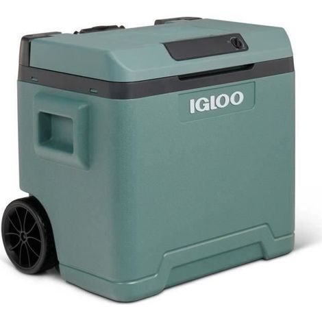 Réfrigérateur thermoélectrique Igloo IE42 42 l, vert