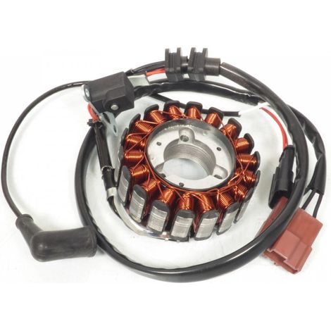 Lichtmaschine Sifam für Roller Peugeot 250 Satelis RS 2006 bis (1/5)