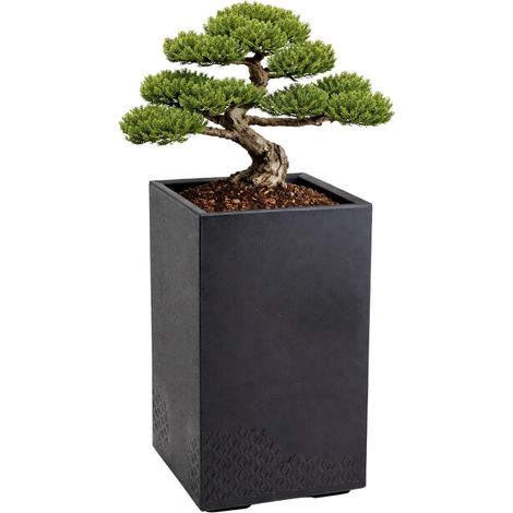Vaso da fiori Betonique su ruote, riciclato, nero, H60x40 cm (1/5)