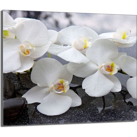 Placa protectora de vidrio para la estufa 60x52 Orchidea (1/5)