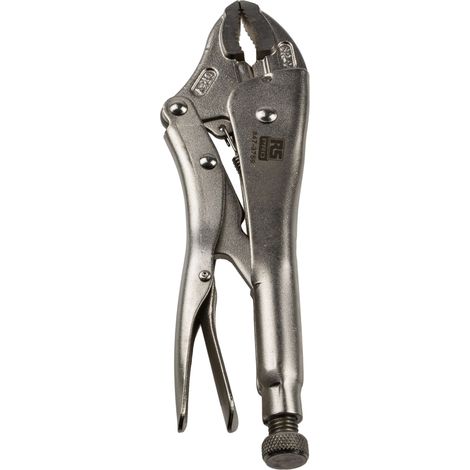 Pince-étau RS PRO, L. (hors tout) 254 mm ( Prix pour 1 ) (1/5)