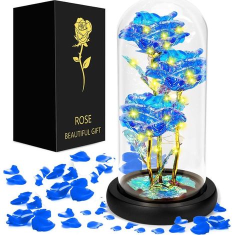 Rose éternelle sous cloche en acrylique – Fleur artificielle avec éclairage LED – Rose décorative et bouquet romantique – Cadeau pour mariage Saint-Valentin anniversaire maman grand-mère et amie (1/5)