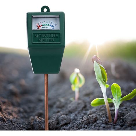 Testeur de pH pour l'acidité et l'alcalinité du sol, l'intensité lumineuse des plantes, mesure simple du pH et de l'humidité. (1/5)