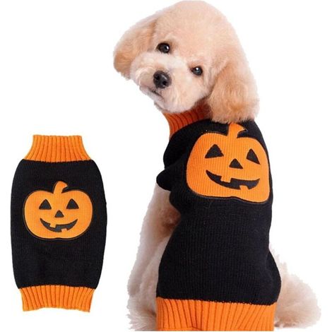 Costumes d'Halloween pour chiens, crâne de citrouille, chauve-souris, faux, vêtements pour chiens de petite, moyenne et grande taille. (1/5)