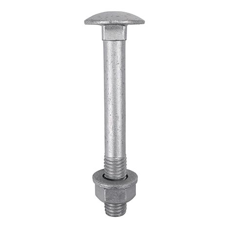 TIMCO Carriage Bolts DIN603, Hex Full Nuts DIN934 & Form A DIN125-A Washer Exterior Silver - M8 x 50