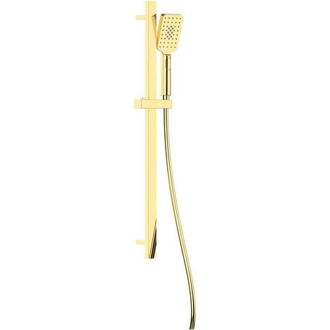 Deante Alpinia NGAZ52K Dusche-Set mit Stange und Duschkopf in Gold