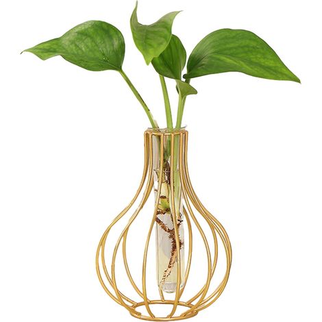 Vase À Fleurs - Cadre Métallique Doré Géométrique - Tube En Verre Transparent - Pour Plantes Hydroponiques Et Bouquets - 1 Pièce (1/5)
