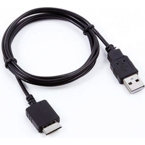 PC Data SYNC Câble Cordon Plomb Pour Sony NWZ-E473 F MP3 LecteurSpecification Nom