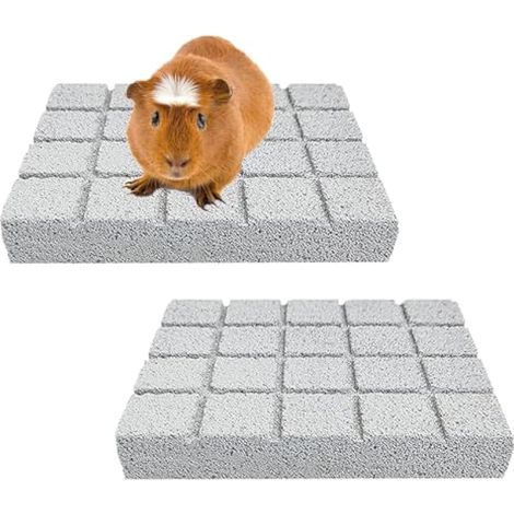 Lot de 2 grattoirs pour cochon d'Inde, jouets à dents de chinchilla pour petits animaux, planche à gratter pour hamster, chinchilla, gerbille, accessoires pour cage de cochon d'Inde (1/5)