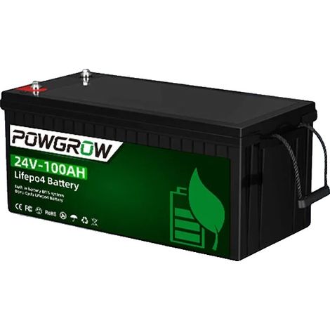 Inversor solar híbrido, compatible con batería de 24 V, tecnología MPPT, IBattery-PO-24V-100AH (1/2)