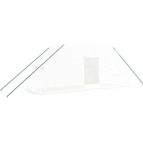 Serre à structure en acier blanc, 12 mètres carrés, 6 x 2 x 2,85 mètres (1/5)