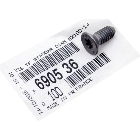 Befestigungsschraube für Bremsscheibe Peugeot 690536Citroen 690536 Befestigungsschraube für Bremsscheibe (1/5)