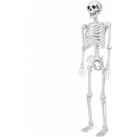 Yezi Halloween Skeleton Life Size 185cm Posable Joints Haunted House Patio White (1/5)