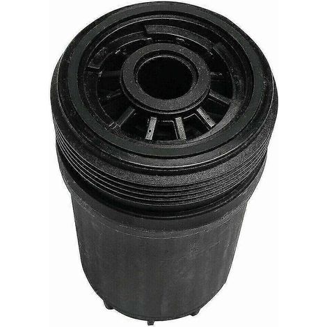 Filtre à carburant FF63009 5303743 Compatible avec le moteur (1/5)