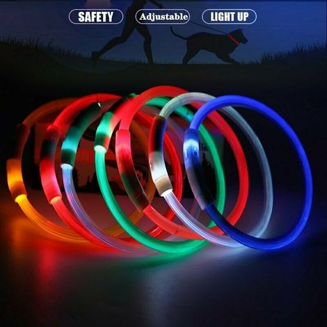 Sicherheitshalsband für Hunde mit USB-aufladbarer LED-Blinkfunktion für Nachtsicht – Größe L