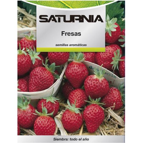Semillas Huerto Fresas