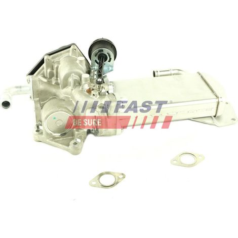 Scambiatore di calore EGR rapido FT60423