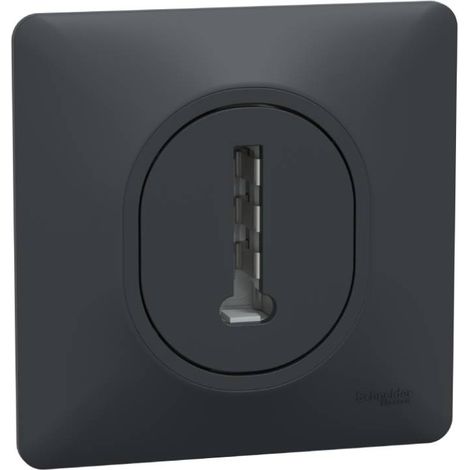 OVALIS PRISE TÉLÉPHONE EN T 8 CONTACTS AVEC PLAQUE ANTHRACITE SCHNEIDER S340496 (1/4)
