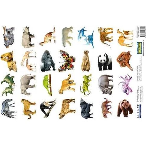 Autocollants. Animaux du monde