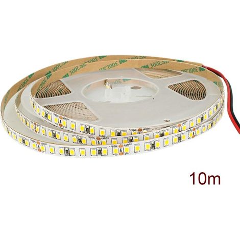 24V Bobina Striscia Led Da 10 Metri IP20 6000K 12W/M 1600 smd 2835 2000 LM/M Passo 8mm