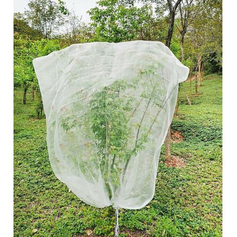 Rete anti-insetti per orti: 1,8 x 1,8 m, maglia fine, protezione per porri, alberi da frutto, giardinaggio, copertura per piante