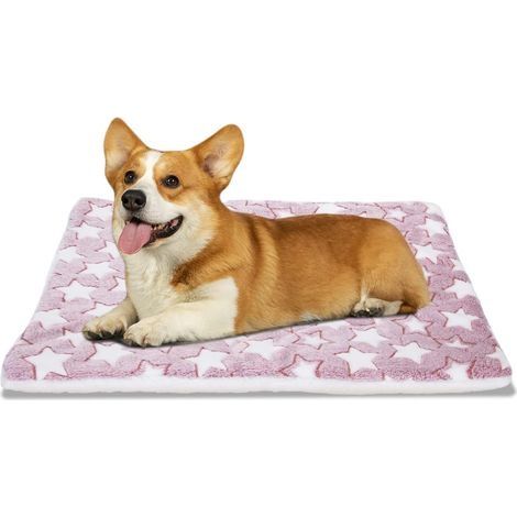 Tapis pour Chiens et Chats, Lavable Réversible Matelas en Flanelle d'hiver pour Animaux de Compagnie, Grande Taille Coussin Super Doux et Moelleux Chiot Lit (90x65cm)