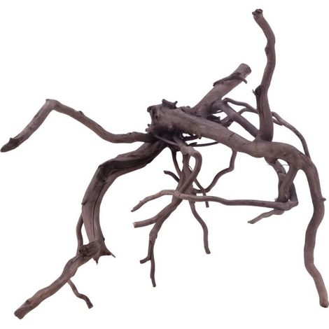 XL Black Spider Wurzel Nr.5270 Fingerwurzel Echtholz Deko Aquascaping