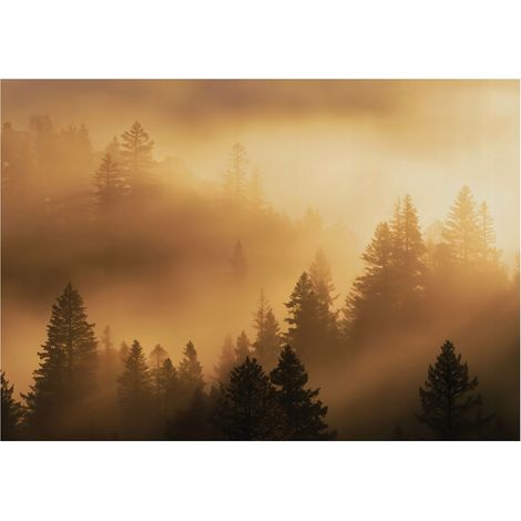 Papier peint mural forêt dans la brume beige 3D intissé grand format design intérieur salon chambre pas cher 150x105 cm (1/5)