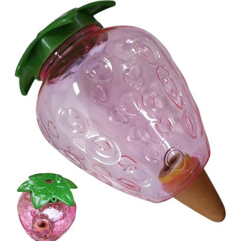 Boules d'Arrosage pour d'Intérieur Arrosoir Automatique Coeur Fraise Bulbes d'Arrosage pour Cactus Pour Balcon Jardin Potted Cactus et en Pot (1/5)