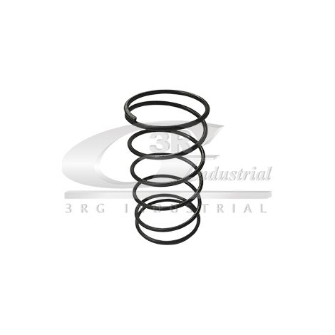 3RG 26718 MUELLE CAMBIO