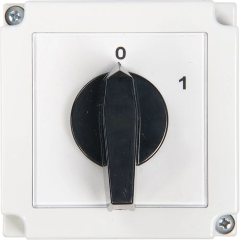 Interrupteur à came 0-1 3P 16A dans un boîtier 4G16-10-PK R114 63-840306-021