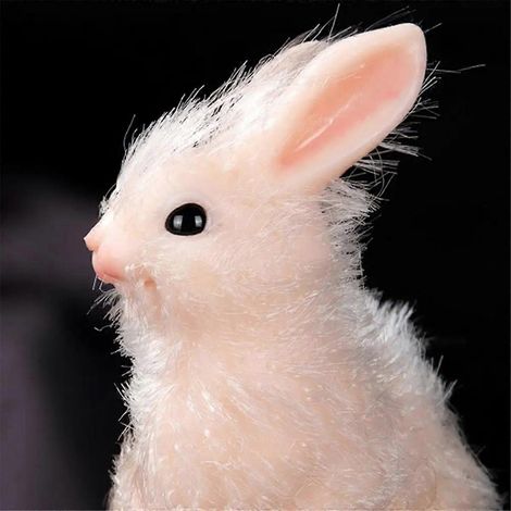 Jouet anti-stress lapin en silicone extensible et adorable --- (1/5)